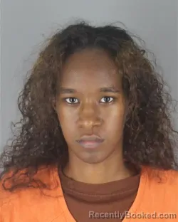 Mugshot of Lebin Abdi Dirie booked in Hennepin County, Minnesota on August 26, 2026
