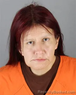 Mugshot of Deanne Evelyn Louis booked in Hennepin County, Minnesota on August 28, 2026