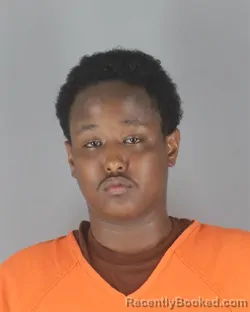 Mugshot of Abdikarin Haydar Ahmed booked in Hennepin County, Minnesota on August 29, 2026