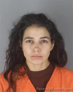 Mugshot of Felicia Anne Kay booked in Hennepin County, Minnesota on September 2, 2026