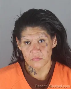 Mugshot of Anessa Marie Ontiveros-Gallegos booked in Hennepin County, Minnesota on September 3, 2026