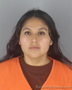 Mugshot of Meybe Alexandra Irrazabal Jara booked in Hennepin County, Minnesota on September 4, 2026