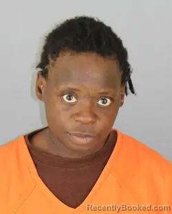 Mugshot of Temeka Michelle Nichols booked in Hennepin County, Minnesota on September 27, 2026