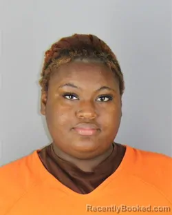 Mugshot of Laniya Princess Lee Hill booked in Hennepin County, Minnesota on September 27, 2026