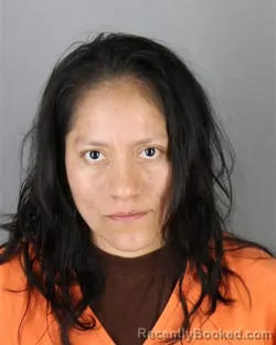 Mugshot of Susana Garcia Sosa booked in Hennepin County, Minnesota on September 27, 2026