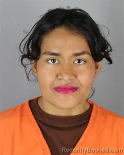 Mugshot of Flor Stephanie Castillo booked in Hennepin County, Minnesota on September 28, 2026