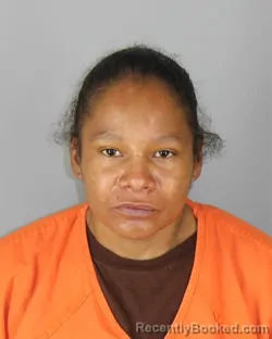 Mugshot of Eva Ann Nelson booked in Hennepin County, Minnesota on September 30, 2026