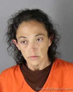 Mugshot of Tami Marie Bohan booked in Hennepin County, Minnesota on October 1, 2026