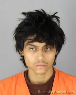Mugshot of Angel Daniel Palma booked in Hennepin County, Minnesota on October 1, 2026