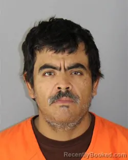 Mugshot of Delfino Martinez Silva booked in Hennepin County, Minnesota on October 1, 2026
