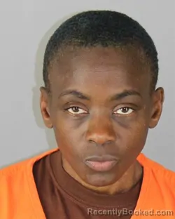 Mugshot of Yolanda Elaine Bowers booked in Hennepin County, Minnesota on October 1, 2026