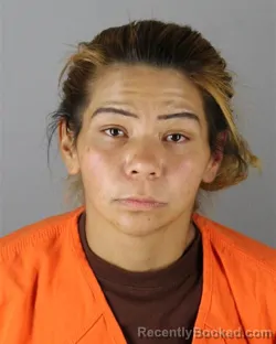 Mugshot of Elissa Rose Reed booked in Hennepin County, Minnesota on October 2, 2026
