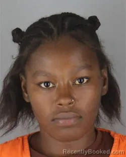 Mugshot of Ranaija Lavondia Hall Crutchfield booked in Hennepin County, Minnesota on October 4, 2026