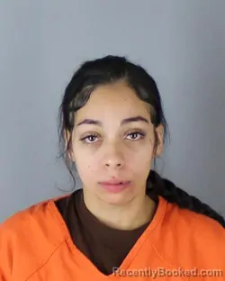 Mugshot of Aleaysha Raquel Ludena Chavez booked in Hennepin County, Minnesota on October 6, 2026