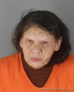 Mugshot of Natasha Marie Roybal booked in Hennepin County, Minnesota on October 9, 2026