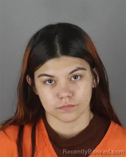 Mugshot of Yolanda Josefina Herrera booked in Hennepin County, Minnesota on October 11, 2026