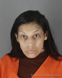 Mugshot of Dayna Kay Wood booked in Hennepin County, Minnesota on October 13, 2026