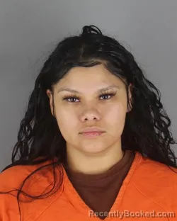 Mugshot of Juanita Shaniqua Josephine Williams booked in Hennepin County, Minnesota on October 15, 2026