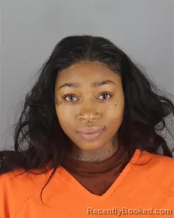 Mugshot of Kenara Marie Ramsey booked in Hennepin County, Minnesota on October 16, 2026