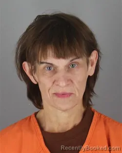 Mugshot of Patricia Marie Mccoy booked in Hennepin County, Minnesota on October 17, 2026
