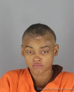 Mugshot of Amarianna Darcelle Russell booked in Hennepin County, Minnesota on October 18, 2026