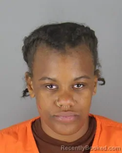 Mugshot of Patricea Andrea Taylor booked in Hennepin County, Minnesota on October 18, 2026