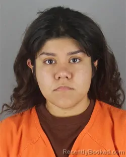 Mugshot of Susan Ramirez booked in Hennepin County, Minnesota on October 20, 2026