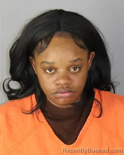 Mugshot of Francessa Antoinette Jackson booked in Hennepin County, Minnesota on October 20, 2026