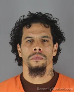 Booking photo from Hennepin County, Minnesota