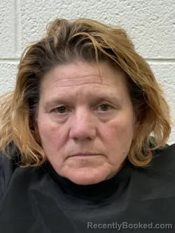 Mugshot of LISA ANNE MOTT