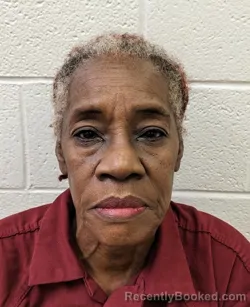 Mugshot of EMILY HAMRICK BRACEY