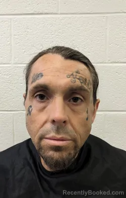 Mugshot of JERRY TODD WATSON