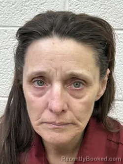 Mugshot of MARY HELEN COUCH