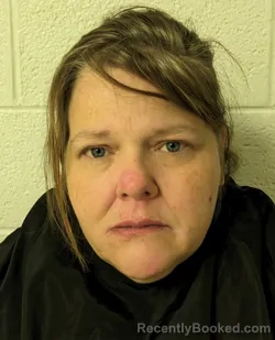 Mugshot of CHRISTY MARIE MASHBURN