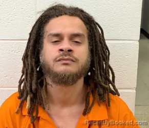 Mugshot of JOSHUA MATTHEW BROWN