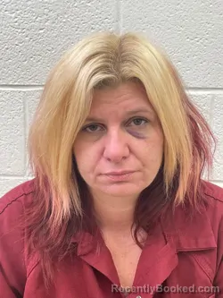 Mugshot of AMANDA LEE SHELTON