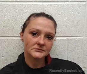 Mugshot of KIMBERLY DAWN OWENS booked in Rutherford County, North Carolina on April 24, 2026