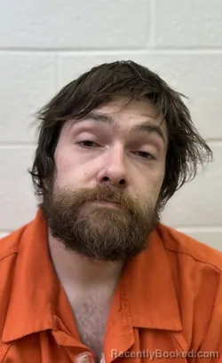 Mugshot of IAN LYN WILSON