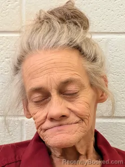 Mugshot of CHRISTINE DEBORAH WALKER booked in Rutherford County, North Carolina on July 15, 2026