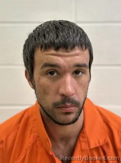 Mugshot of JOSHUA CAIN WILSON