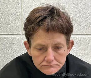 Mugshot of RHONDA RENEE TILLEY