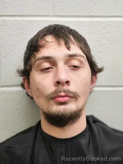 Mugshot of RICKY LEE BRIDGES