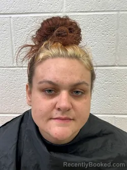 Mugshot of DESSEE JOYCE LOWERY