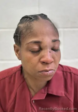 Mugshot of KEISHEEMMA ARNITA HARRIS booked in Rutherford County, North Carolina on April 12, 2026