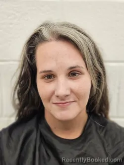 Mugshot of MEGAN LEIGH LUSSIER