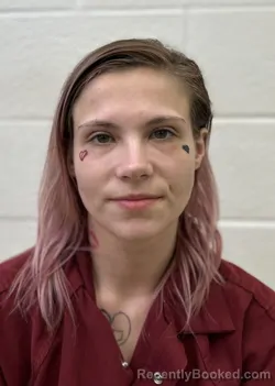 Mugshot of BROOKLYN DENISE CARTER