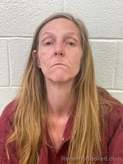 Mugshot of MEDLEA BROOKE SMITH