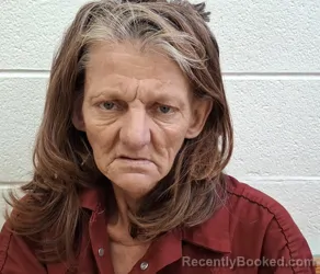 Mugshot of TRACIE LYNN MCKINNEY booked in Rutherford County, North Carolina on May 19, 2026