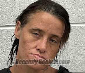 Mugshot of KAYLA GAIL PAINTER