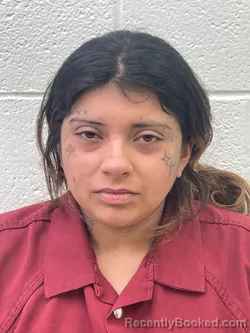 Mugshot of CHELSEA JUANITA SANTIZ